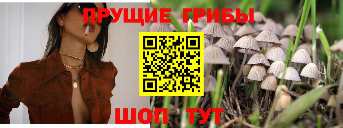 Галлюциногенные грибы MAGIC MUSHROOMS Заволжье